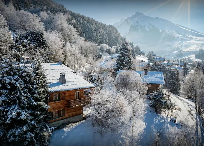 Paravis - Ovo Network Chalet